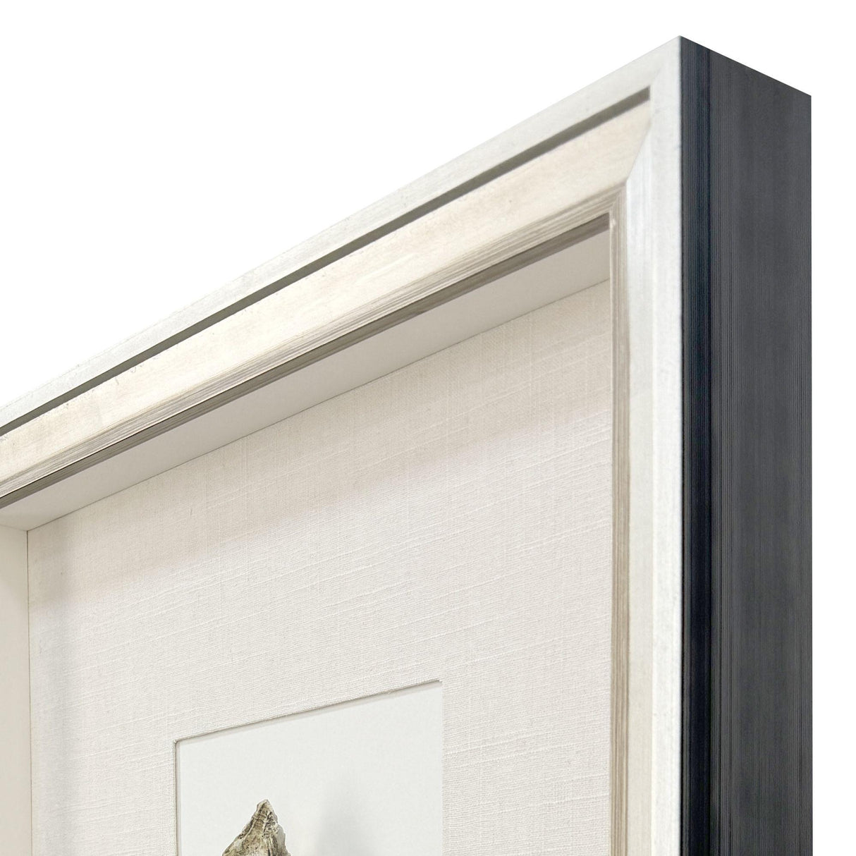 Paragon Oyster in Paradise II Beige 26 X 19 X 3 Wall Art