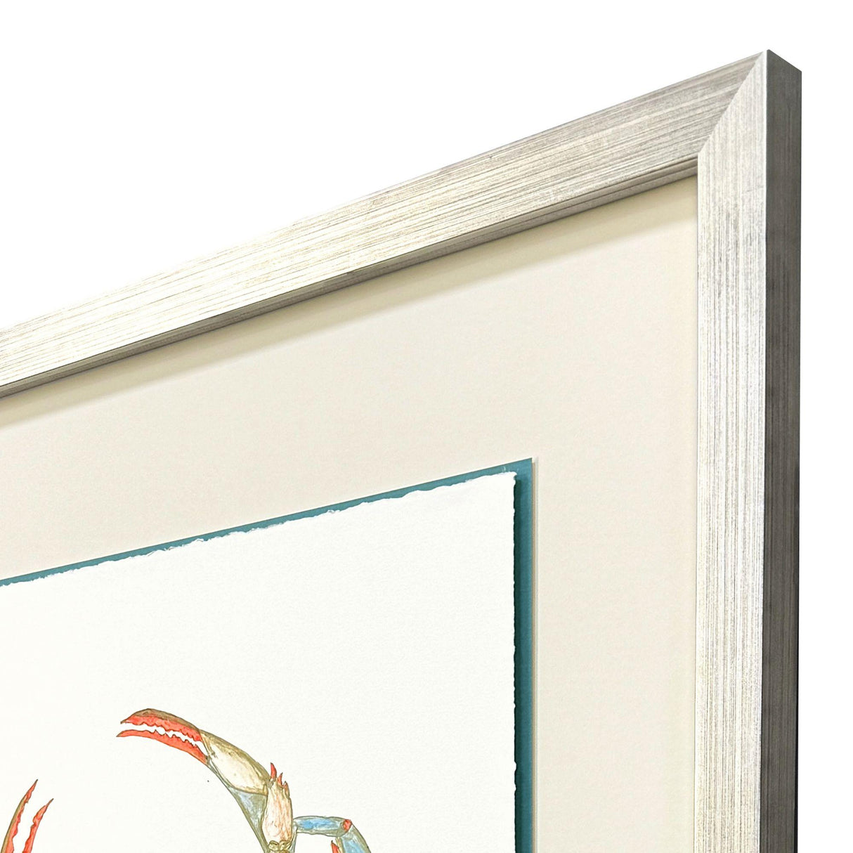 Paragon Crab Celebration II Orange 39 X 33 X 2 Wall Art