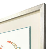 Paragon Crab Celebration II Orange 39 X 33 X 2 Wall Art