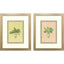 Paragon Grecian Vase Palm I S/2 Green 23 X 19 X 2 Wall Art