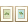 Paragon Grecian Vase Palm II S/2 Green 23 X 19 X 2 Wall Art