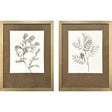 Paragon Neutral Botanical I S/2 Brown 33 X 25 X 2 Wall Art