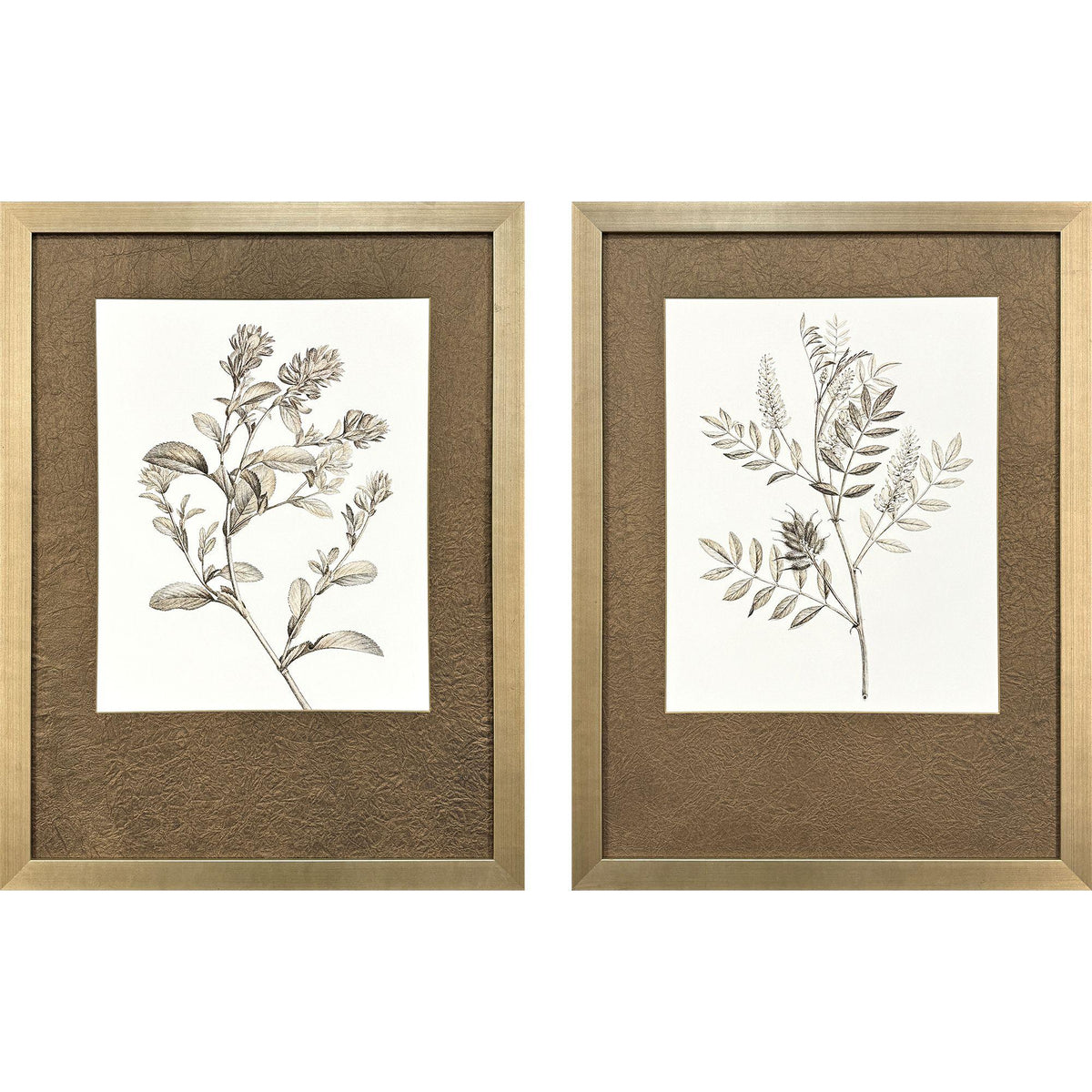 Paragon Neutral Botanical I S/2 Brown 33 X 25 X 2 Wall Art