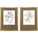 Paragon Neutral Botanical I S/2 Brown 33 X 25 X 2 Wall Art