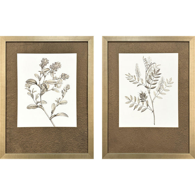 Paragon Neutral Botanical I S/2 Brown 33 X 25 X 2 Wall Art