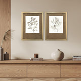 Paragon Neutral Botanical I S/2 Brown 33 X 25 X 2 Wall Art