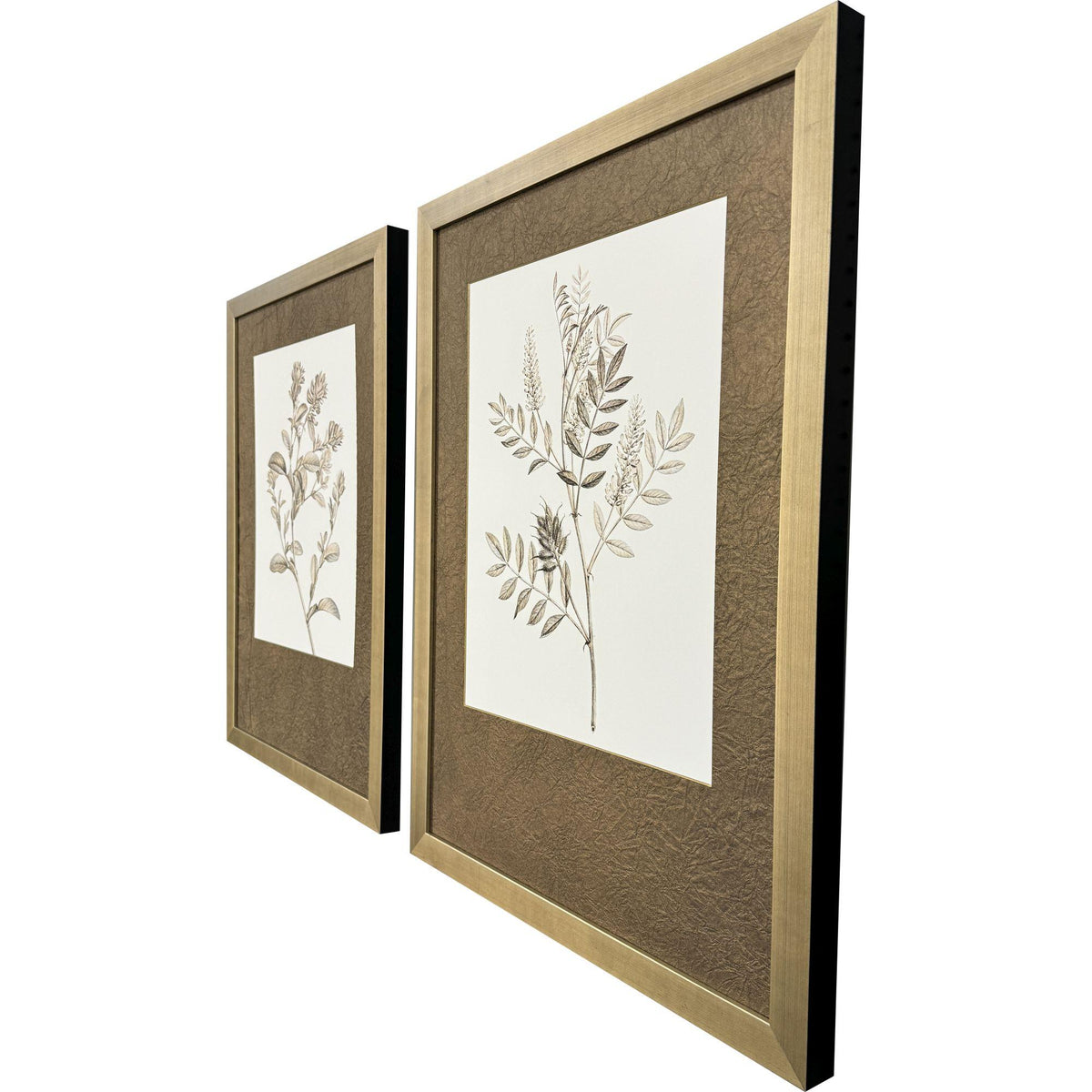 Paragon Neutral Botanical I S/2 Brown 33 X 25 X 2 Wall Art
