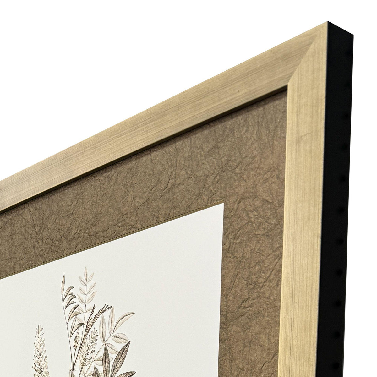 Paragon Neutral Botanical I S/2 Brown 33 X 25 X 2 Wall Art