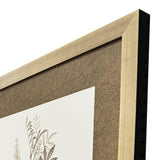 Paragon Neutral Botanical I S/2 Brown 33 X 25 X 2 Wall Art