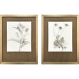 Paragon Neutral Botanical II S/2 Brown 33 X 25 X 2 Wall Art