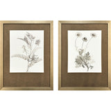 Paragon Neutral Botanical II S/2 Brown 33 X 25 X 2 Wall Art