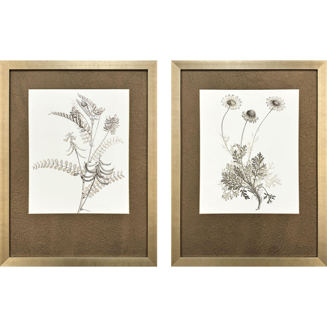 Paragon Neutral Botanical II S/2 Brown 33 X 25 X 2 Wall Art