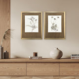 Paragon Neutral Botanical II S/2 Brown 33 X 25 X 2 Wall Art