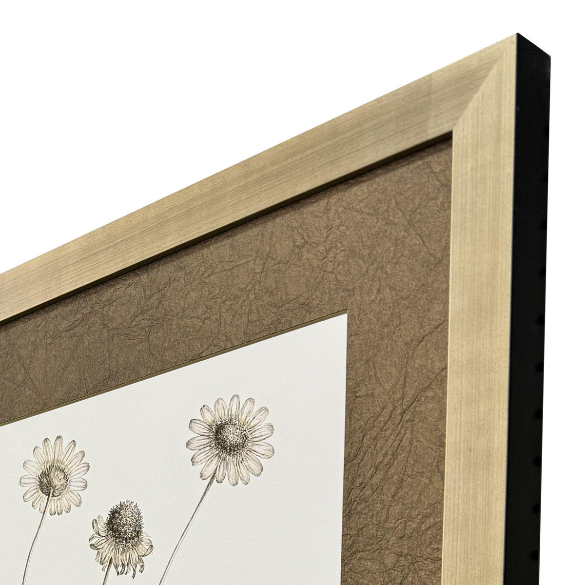 Paragon Neutral Botanical II S/2 Brown 33 X 25 X 2 Wall Art
