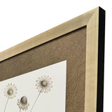 Paragon Neutral Botanical II S/2 Brown 33 X 25 X 2 Wall Art