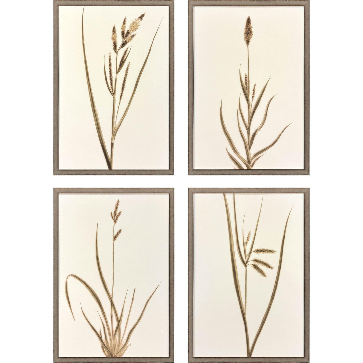 Paragon Varying Grasses S/4 Brown 25 X 17 X 2 Wall Art
