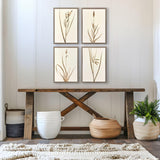 Paragon Varying Grasses S/4 Brown 25 X 17 X 2 Wall Art