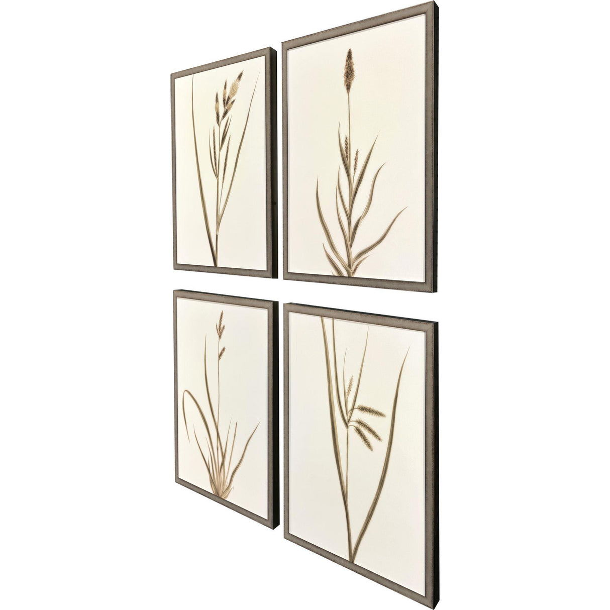 Paragon Varying Grasses S/4 Brown 25 X 17 X 2 Wall Art