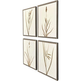 Paragon Varying Grasses S/4 Brown 25 X 17 X 2 Wall Art