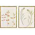 Paragon Floral Trace I S/2 Multi 25 X 19 X 2 Wall Art
