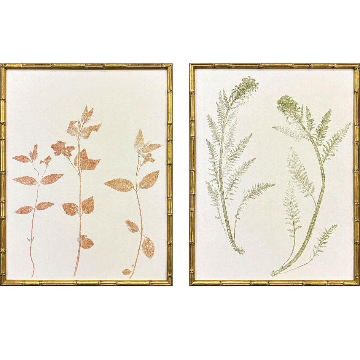 Paragon Floral Trace I S/2 Multi 25 X 19 X 2 Wall Art