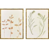 Paragon Floral Trace I S/2 Multi 25 X 19 X 2 Wall Art