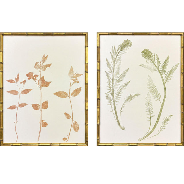 Paragon Floral Trace I S/2 Multi 25 X 19 X 2 Wall Art