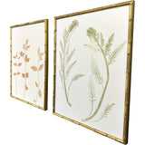 Paragon Floral Trace I S/2 Multi 25 X 19 X 2 Wall Art