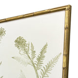 Paragon Floral Trace I S/2 Multi 25 X 19 X 2 Wall Art