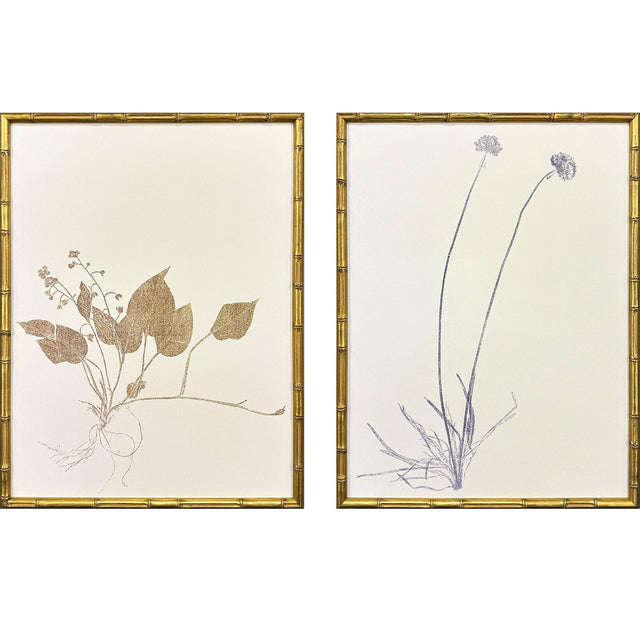 Paragon Floral Trace II S/2 Multi 25 X 19 X 2 Wall Art