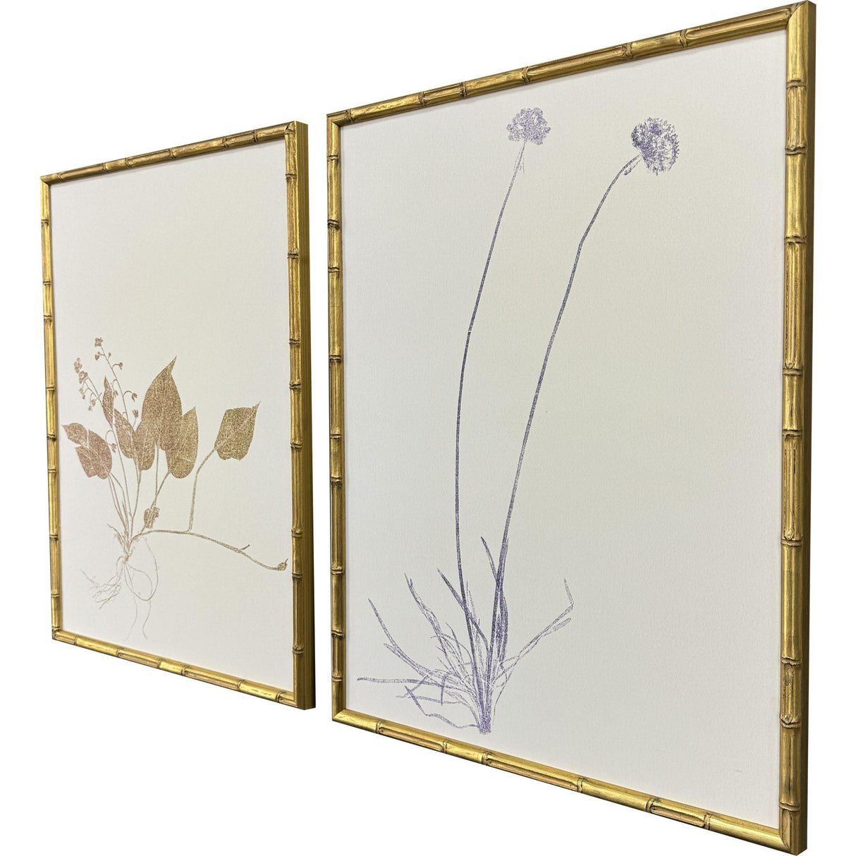 Paragon Floral Trace II S/2 Multi 25 X 19 X 2 Wall Art