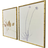 Paragon Floral Trace II S/2 Multi 25 X 19 X 2 Wall Art