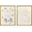 Paragon Floral Trace III S/2 Multi 25 X 19 X 2 Wall Art