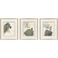 Paragon Rock Garden S/3 Green 15 X 13 X 1 Wall Art