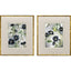 Paragon Floral Dream S/2 Blue 27 X 23 X 2 Wall Art