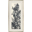 Paragon Forest Vista II Black 59 X 27 X 2 Wall Art