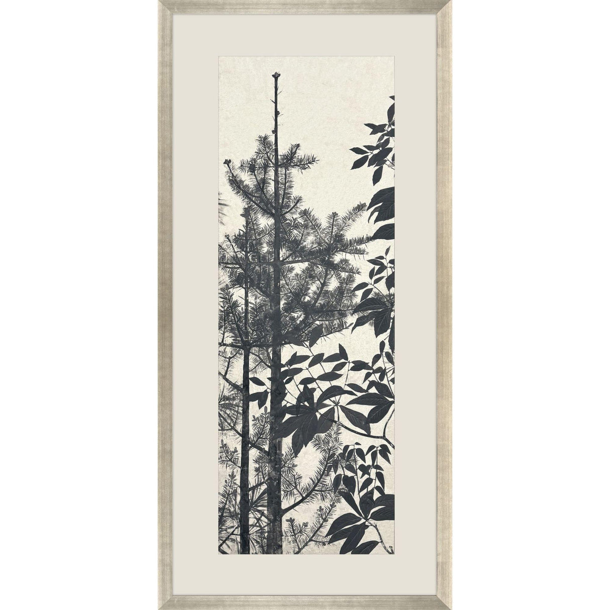 Paragon Forest Vista III Black 59 X 27 X 2 Wall Art