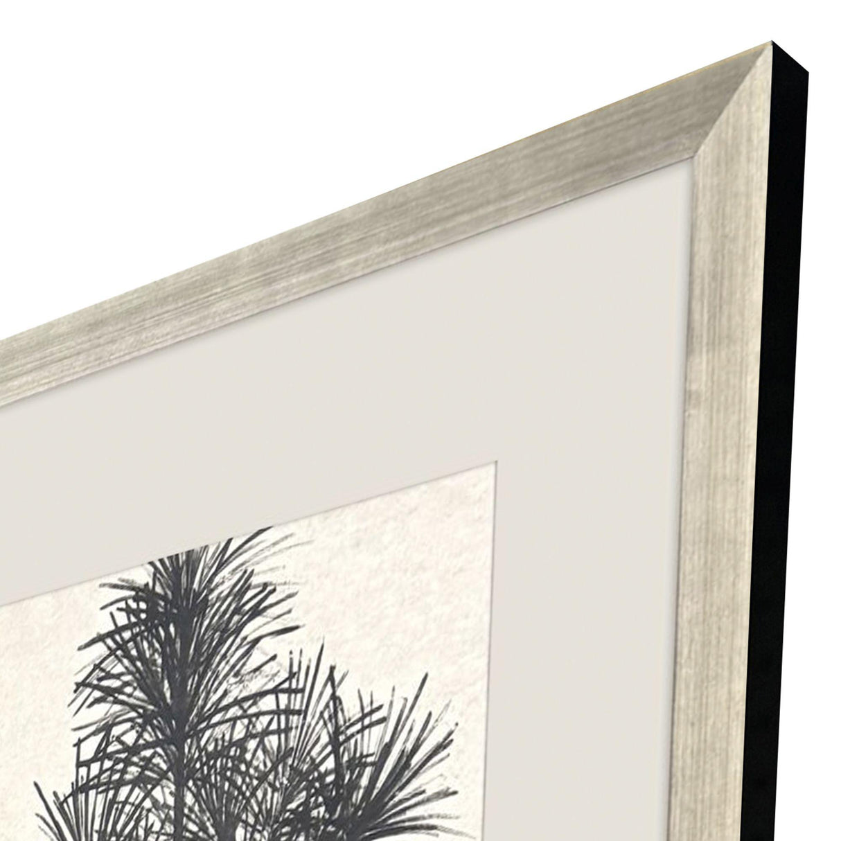 Paragon Forest Vista IV Black 59 X 27 X 2 Wall Art