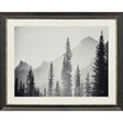 Paragon Kanaskis Country Gray 41 X 51 X 2 Wall Art
