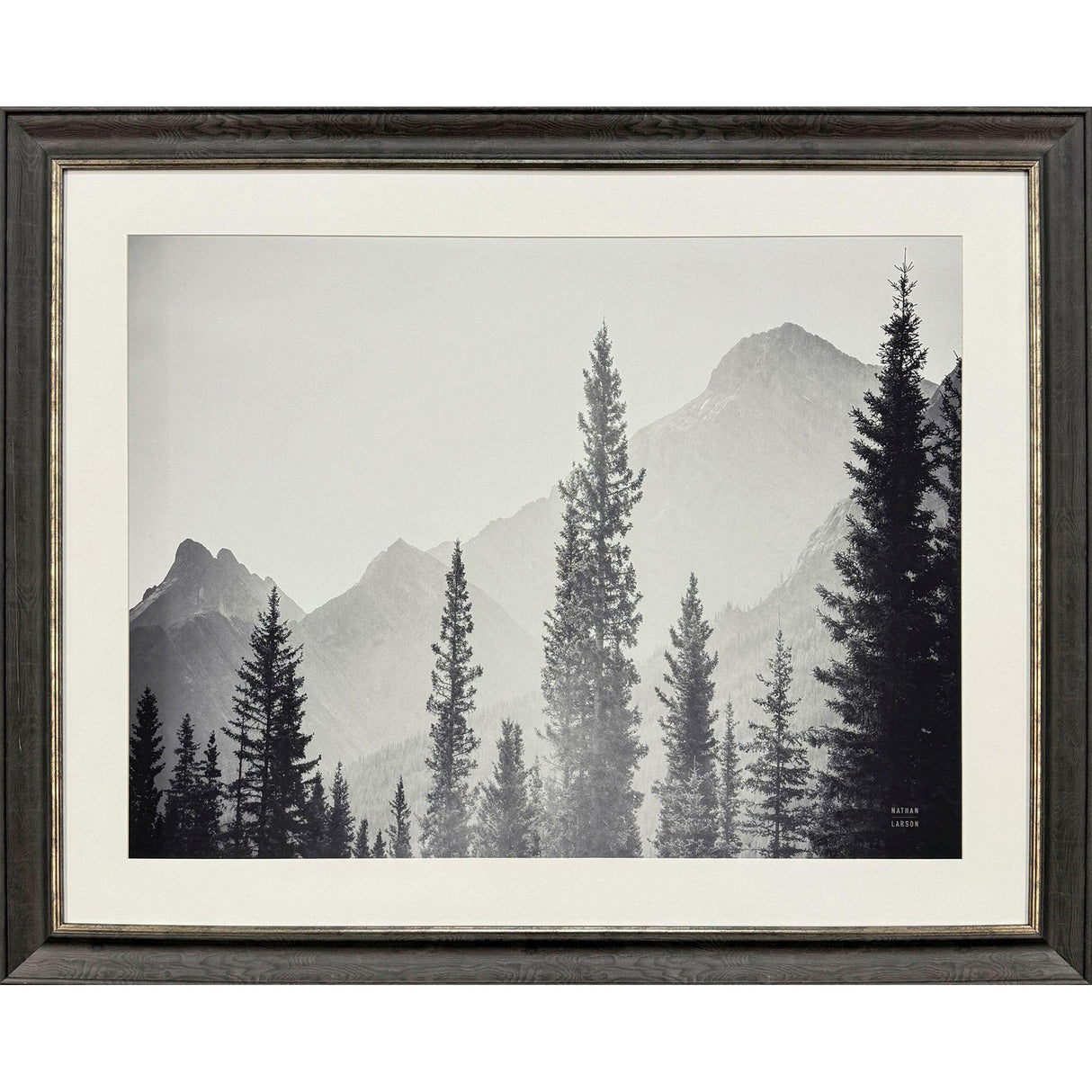 Paragon Kanaskis Country Gray 41 X 51 X 2 Wall Art