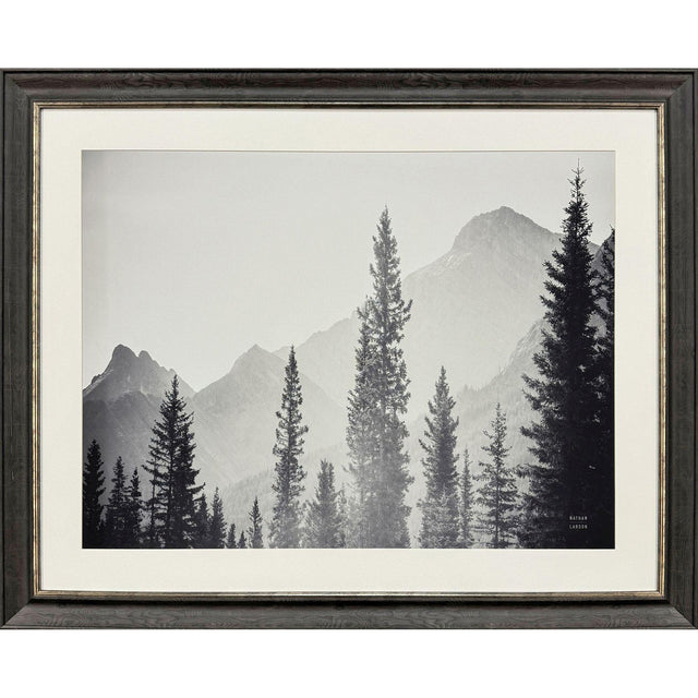 Paragon Kanaskis Country Gray 41 X 51 X 2 Wall Art