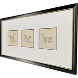 Paragon French Pointer Series Brown 17 X 34 X 1 Wall Art
