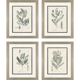 Paragon Astragalorum S/4 Green 26 X 21 X 2 Wall Art