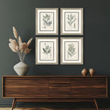 Paragon Astragalorum S/4 Green 26 X 21 X 2 Wall Art
