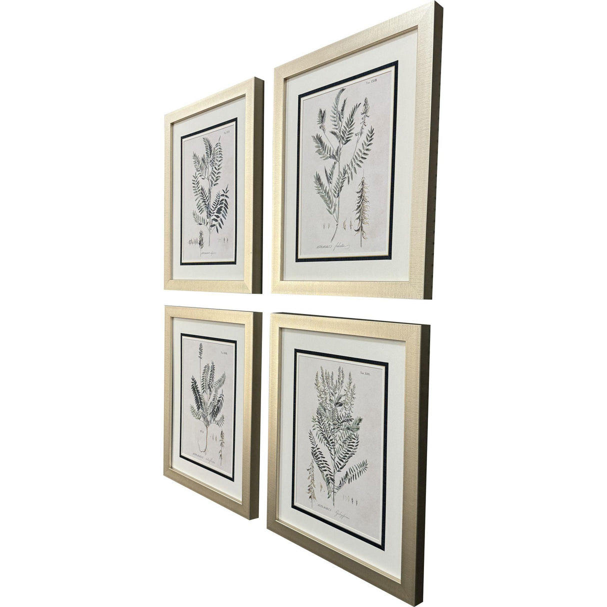 Paragon Astragalorum S/4 Green 26 X 21 X 2 Wall Art
