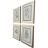 Paragon Astragalorum S/4 Green 26 X 21 X 2 Wall Art