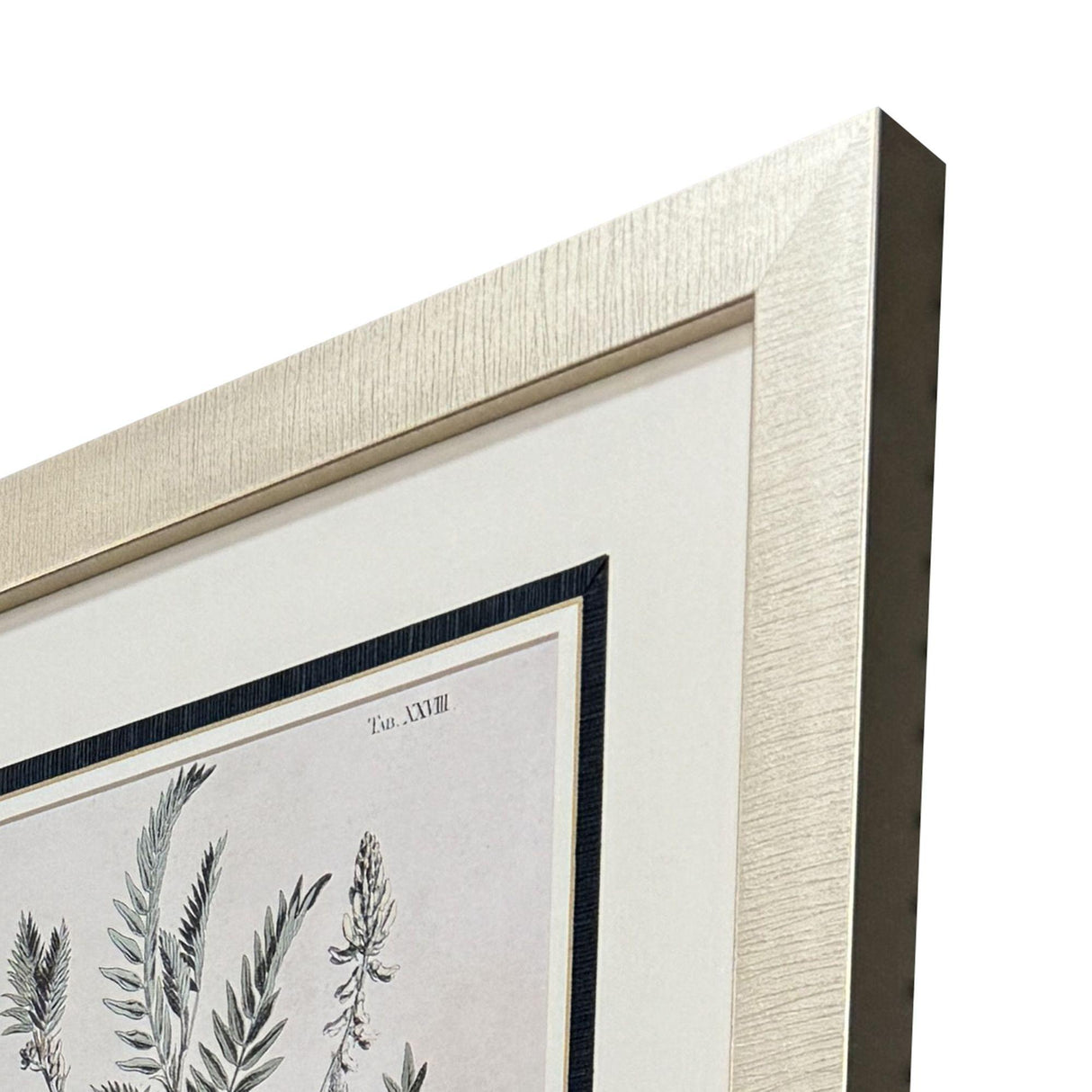 Paragon Astragalorum S/4 Green 26 X 21 X 2 Wall Art