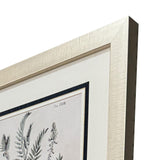 Paragon Astragalorum S/4 Green 26 X 21 X 2 Wall Art