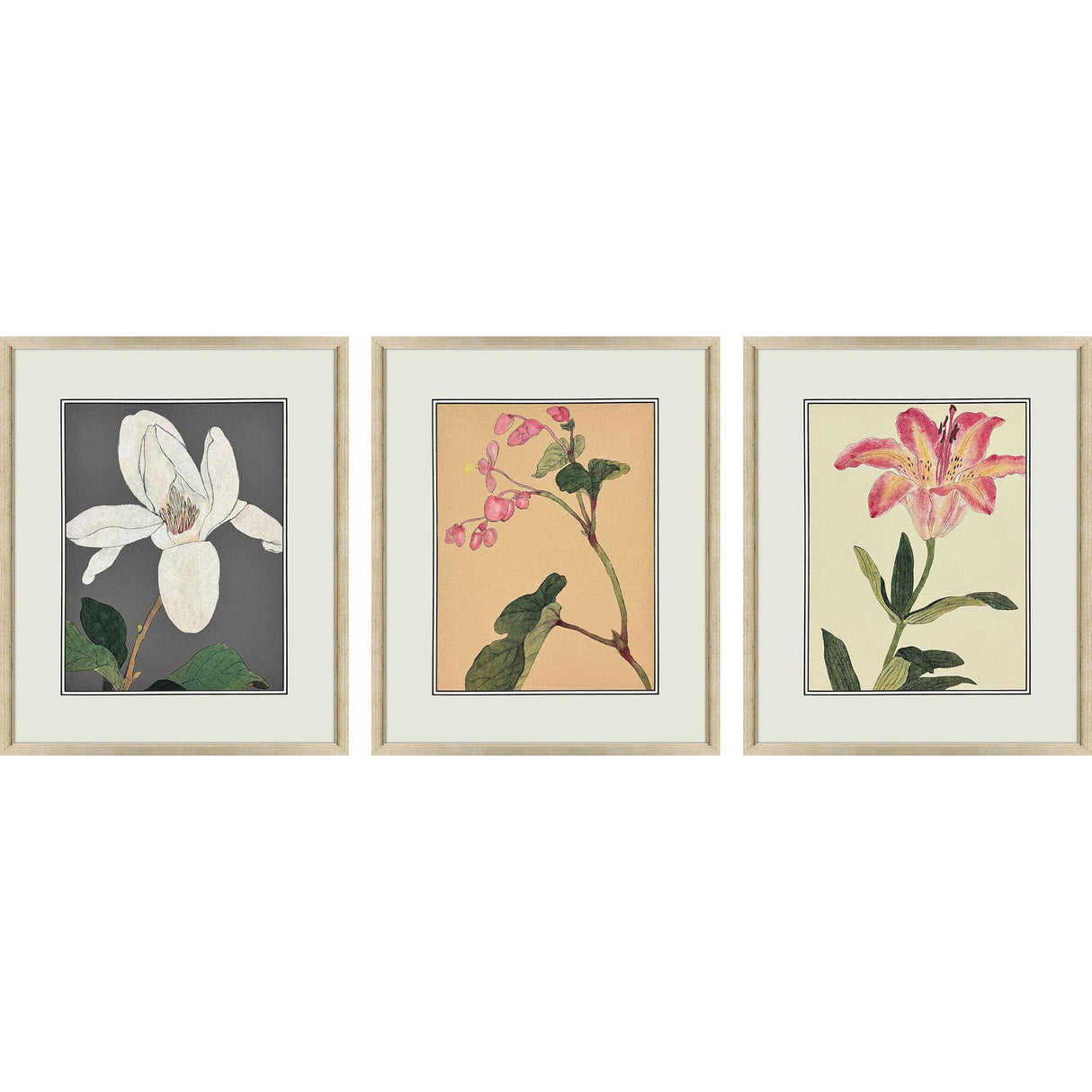 Paragon Enchanted Blooms II S/3 Pink 23 X 19 X 1 Wall Art
