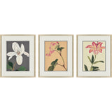Paragon Enchanted Blooms II S/3 Pink 23 X 19 X 1 Wall Art